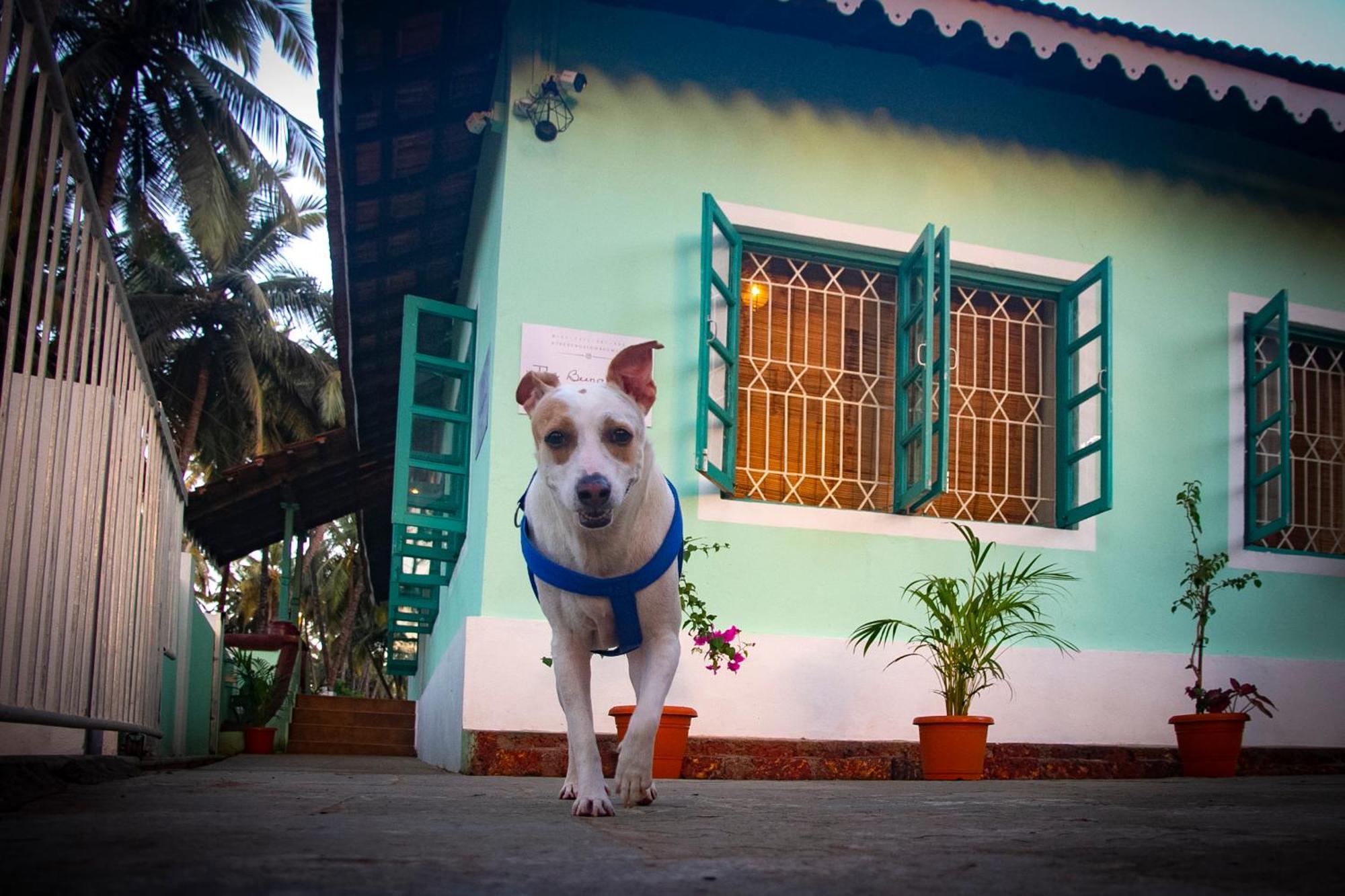 The Bungalow Bogmalo An 1880 Indo Portuguese Heritage Beach Villa South Goa Exteriör bild