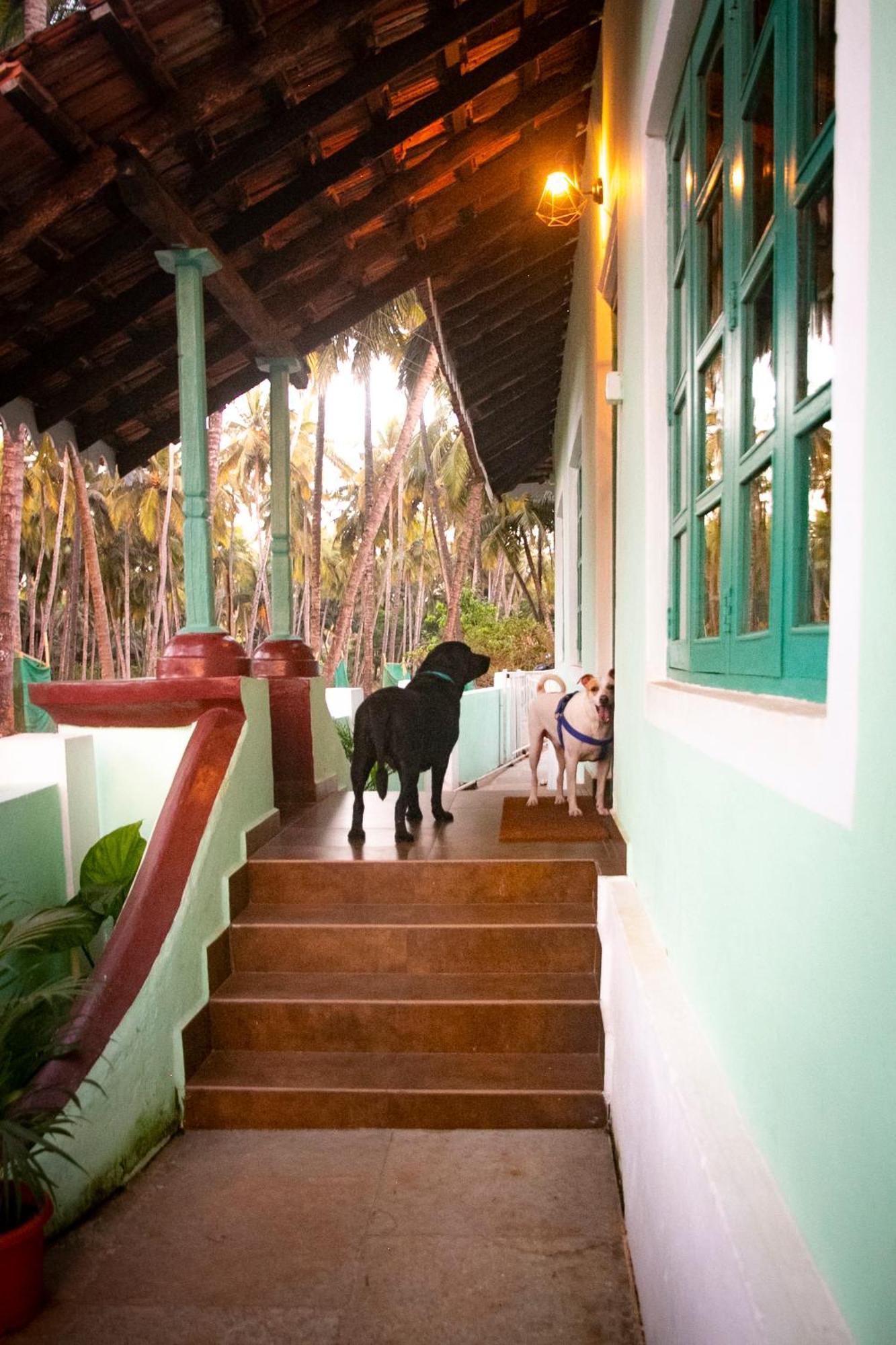 The Bungalow Bogmalo An 1880 Indo Portuguese Heritage Beach Villa South Goa Exteriör bild